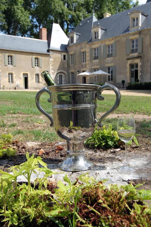 Chateau De Planchevienne Magny-Cours Esterno foto